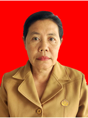 GUSTI AYU NYOMAN ERAWADI